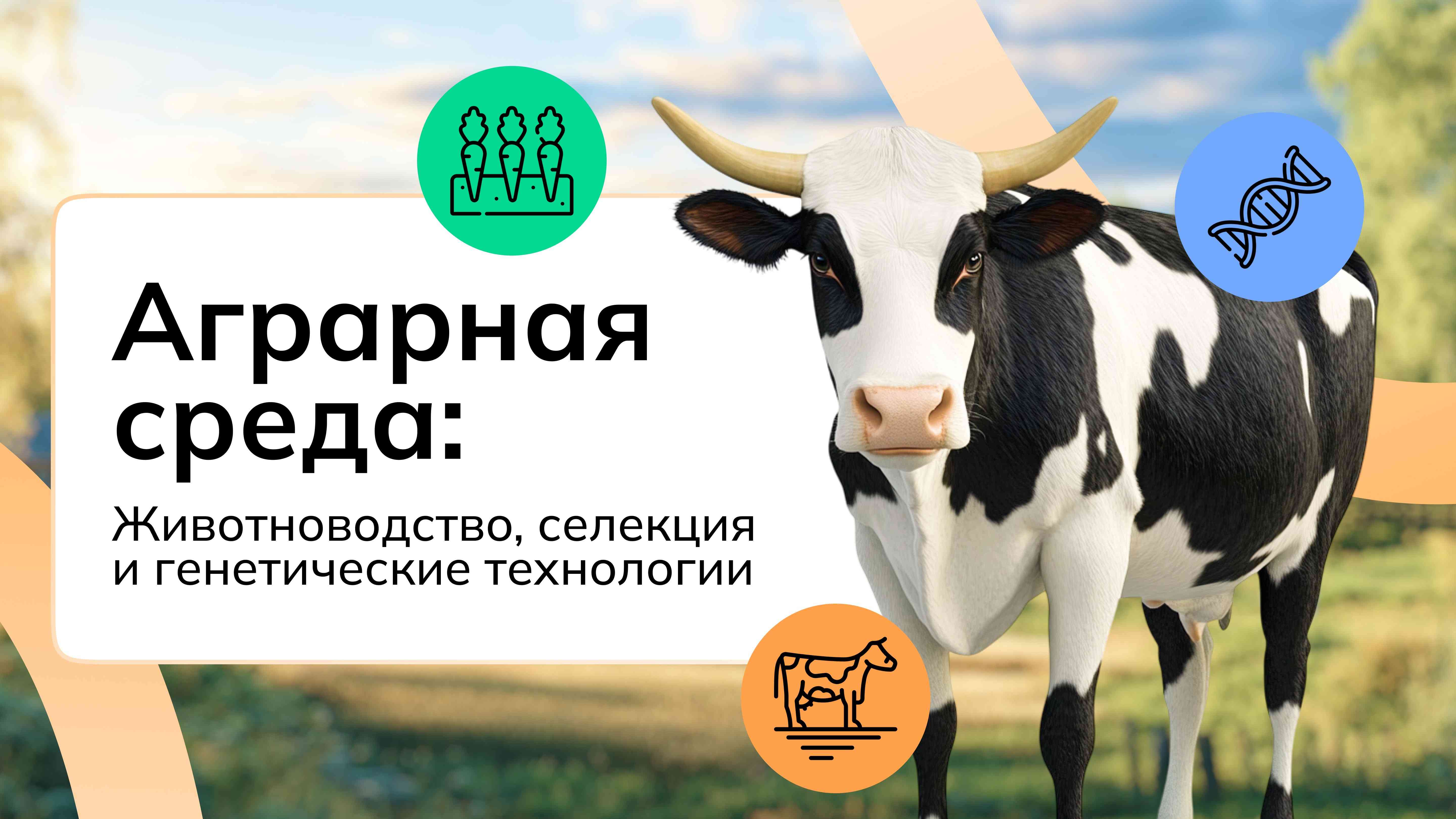 Отраслевое занятие «Россия аграрная: животноводство, селекция и генетика» 24.04.2025г..