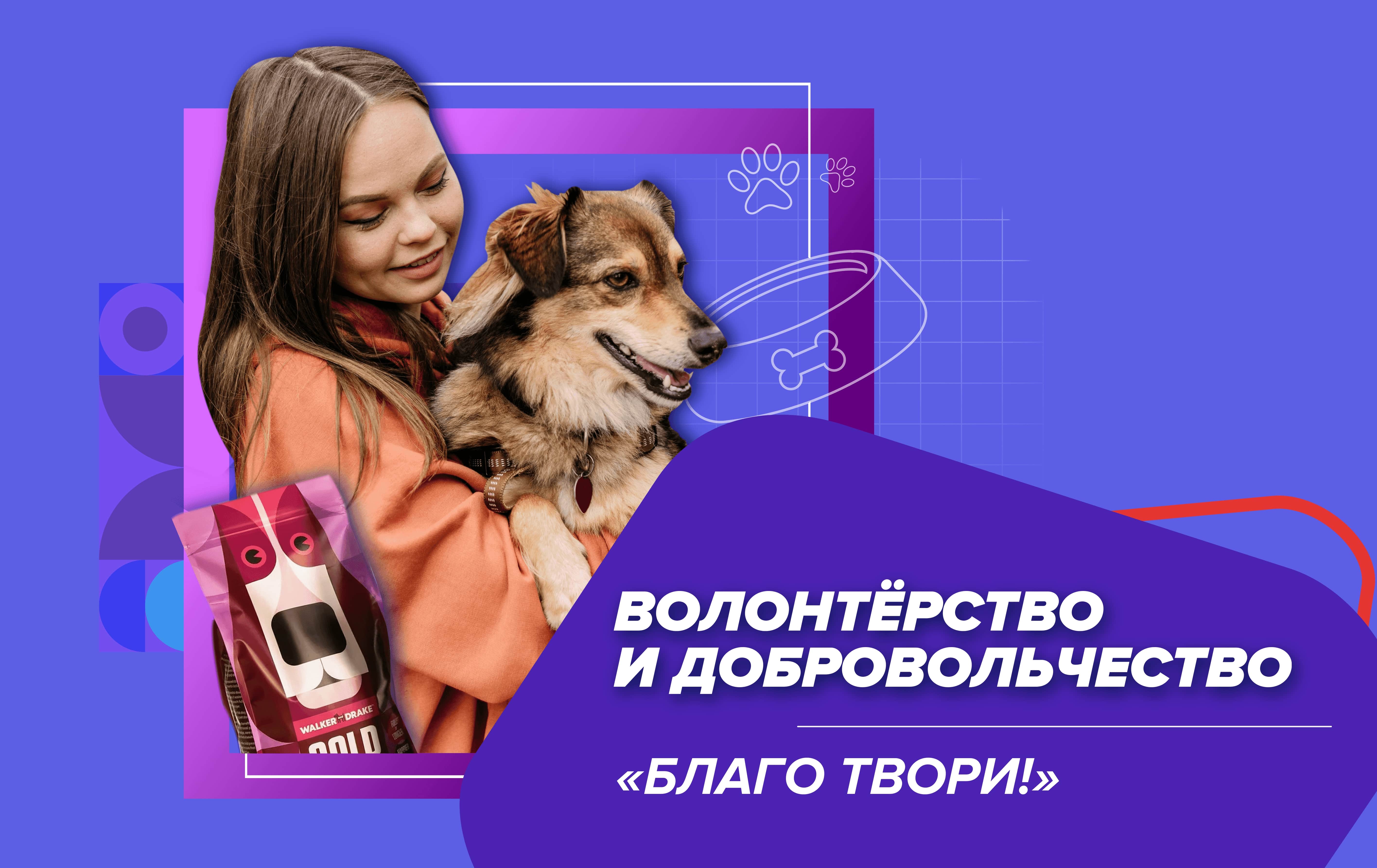 Социально значимое дело. Добровольчество.